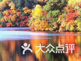 创新投融资模式 赋能和美乡村建设