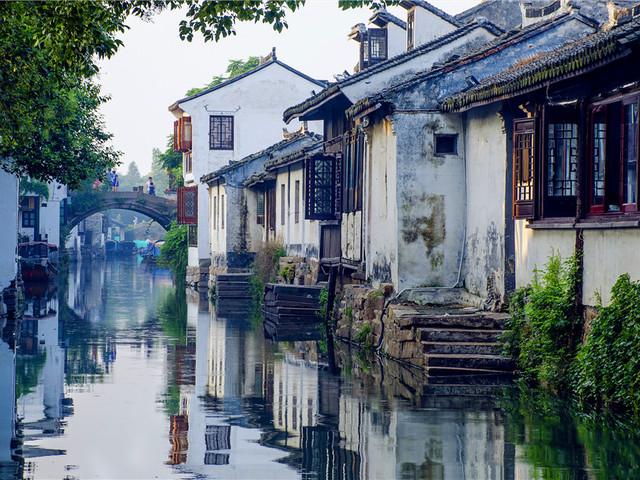 植物大战僵尸20